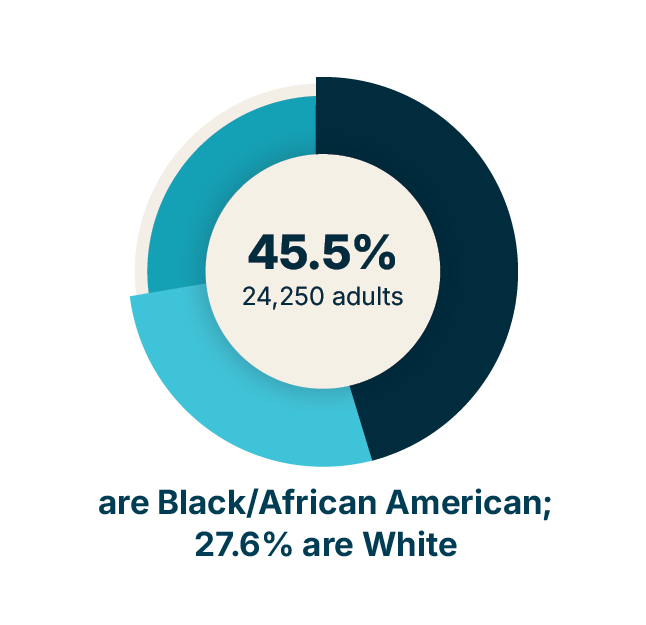 Infographic illustrating that 45.5% of Philadelphians with vision loss (24,250 adults) are Black or African American, and 27.6% are White (2024).