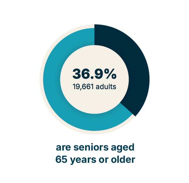 Infographic illustrating that 36.9% of Philadelphians with vision loss (19,661 adults) are seniors aged 65 years or older (2024).