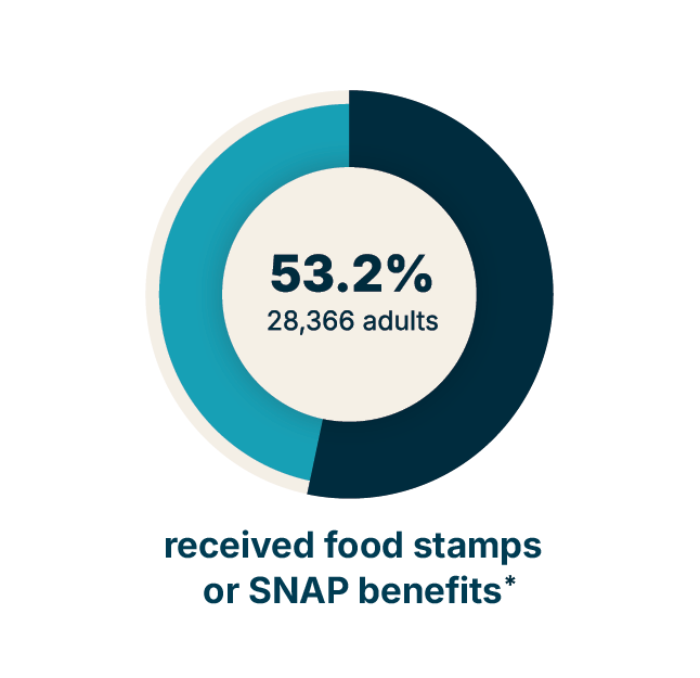 Infographic illustrating that 53.2% of Philadelphians with vision loss (28,366 adults) received food stamps or SNAP benefits (2017).
